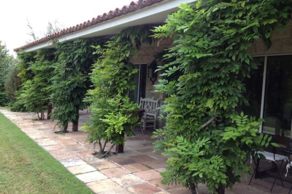 Vivienda unifamiliar